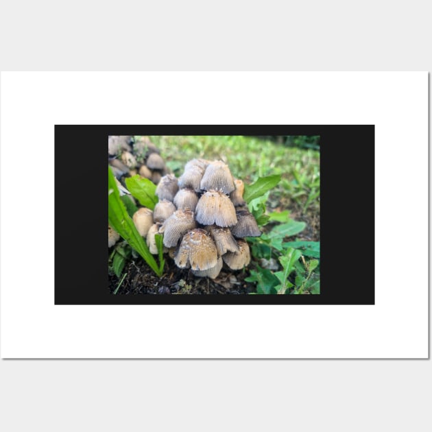 Forest Mushrooms in the Grass Wall Art by Anastasia-03